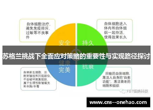 苏格兰挑战下全面应对策略的重要性与实现路径探讨
