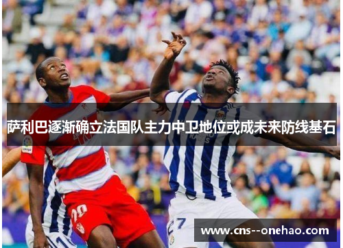 萨利巴逐渐确立法国队主力中卫地位或成未来防线基石 萨利巴逐渐确立法国队主力中卫地位或成未来防线基石