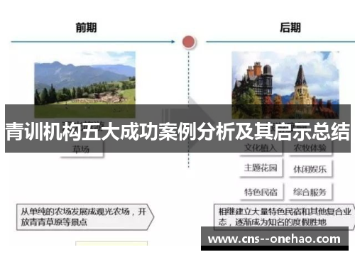 青训机构五大成功案例分析及其启示总结