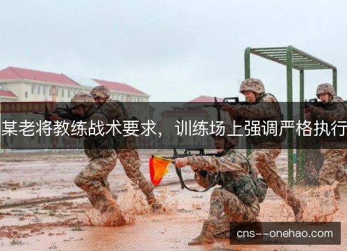 某老将教练战术要求，训练场上强调严格执行